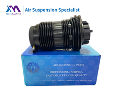 Tech Master Porsche Panamera BelakangSis dan Kanan Air Suspension Springs