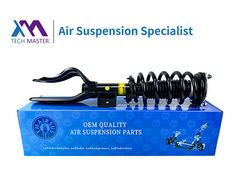 TMAIRSUS Tesla Model Y Shock Pegas Koil Depan AWD