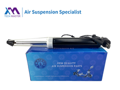 TMAIRSUS Lincoln MKZ Shock Absorber Belakang Kanan dengan ADS EG9Z18125A