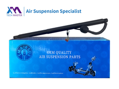 Aktuator Liftgate Daya TMAIRSUS Escalade 2015-2020 84306929