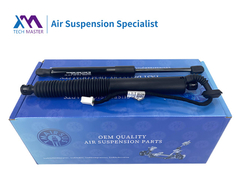 TMAIRSUS Power Liftgate Untuk Tesla Model 3 2021-2023 1551488-99-B