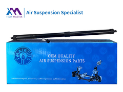 TMAIRSUS Power Liftgate Untuk Range Rover Sport 2010-2013 LR062078