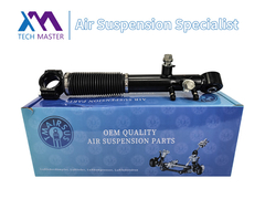 Teknisi Master TMAIRSUS Shock Absorber Belakang untuk Lexus GX460 48885-60030