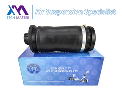 Tech Master TMAIRSUS Air Spring Belakang untuk Mercedes Benz W164 1643200625