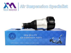 Tech Master TMAIRSUS Air Spring Belakang untuk Mercedes-Benz W222 V222 X222 2223200413