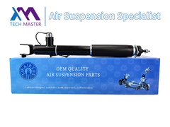 Tech Master TMAIRSUS Shock Absorber untuk Lincoln MKT ASH24635