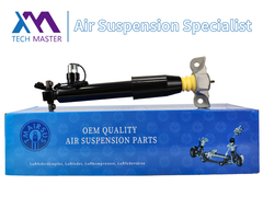 Tech Master TMAIRSUS Belakang kiri Shock Absorber Strut Untuk Lincoln MKX F2GZ18125Z