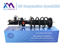 Teknisi TMAIRSUS Lincoln MKT Depan Kiri Shock Absorber Lengkap AST18205