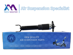 Absorber Kejut Belakang Absorber Strut untuk Cadillac C5 22248830