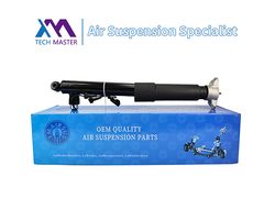 Tech Master TMAIRSUS Belakang Shock Absorber Kanan untuk Lincoln MKC EJ7Z18125E