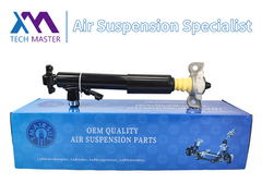 Tech Master TMAIRSUS Belakang Shock Absorber Kanan untuk Lincoln MKT DE9Z18125A