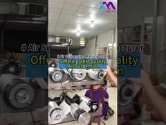 Teknis Master: Menawarkan OEM Kualitas Air Suspension Bagian