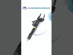 Pemandangan bagian dari damper suspensi udara depan untuk BENZ W166 1663201313