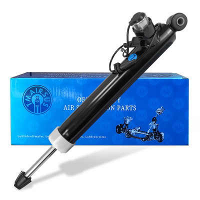 OEM Standar Mobil Belakang Shock Absorber Untuk Belakang Kiri Kanan Posisi Teknologi Lanjutan