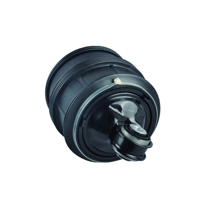 Mercedes - Benz W211 Kanan Belakang Air Spring Bag OEM 2113200825