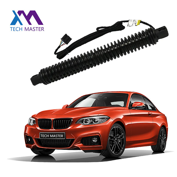BMW Liftgate Lift Support Untuk 7X0LI F02 51247185713 Otomatis Gas Spring Belakang