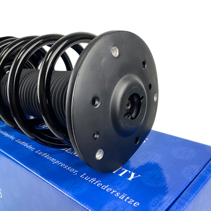 EG9Z18124D Depan Kiri Kanan Suspensi Udara Shock Absorber Strut Assembly Untuk LINCOLN MKZ