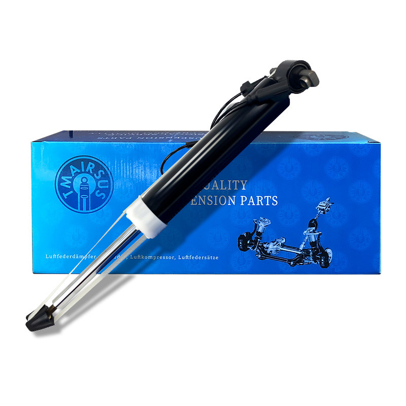 OEM Spek Suspensi Udara Shock / Mobil Air Shock Absorber untuk Lincoln MKT Posisi Kanan Belakang