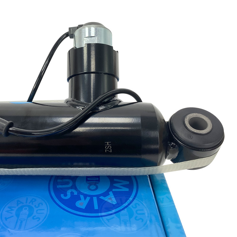 Baja Aluminium Dan Karet Air Suspension Shock Untuk Ford Lincoln Shock Belakang OEM EJ7Z18125G