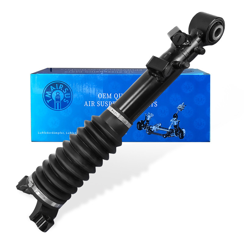 Toyota Land Cruiser 4000/Prado J150 Suspensi Belakang Shock Absorber 48007-60020
