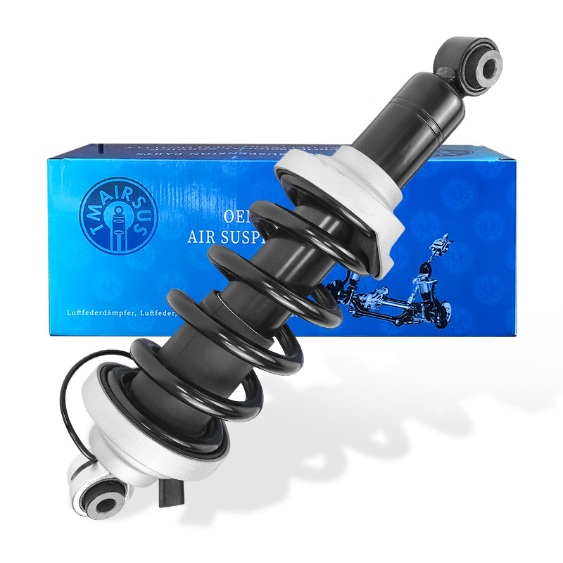OEM 420412019AG 420412020AG Set Shock Front dan Struts untuk Audi R8 Struts yang dirakit 2010-2016
