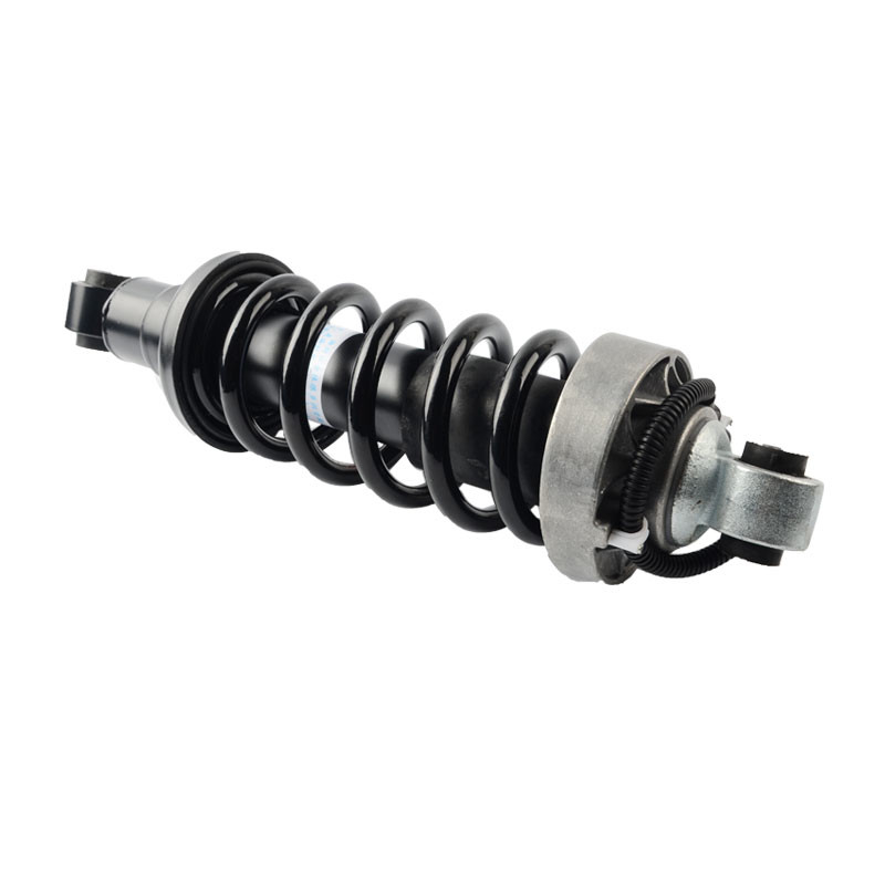 Audi R8 Belakang Kiri Kanan ADS Suspensi Udara Shock Absorber Strut 420512019AL 420412020AG Airmatic