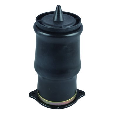 6393280101 6393280201 Suku Cadang Suspensi Pegas Udara Belakang Untuk Mercedes Benz W639 2003-2014