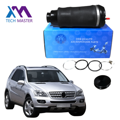 1643206013 Pegas Suspensi Udara Airmatic Untuk Mercedes Benz ML - Kelas GL - Kelas W164 X164 Depan
