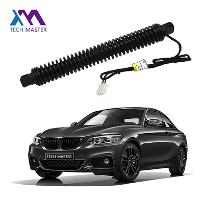 BMW Spindle Drive untuk 7X0LI F02 Strut listrik 51247185714