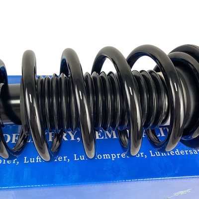 OEM Suspensi Udara Depan Shock Absorber untuk Tesla 3-Y 2WD