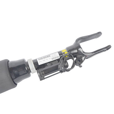 242513203013 Air Suspension Shock Strut Untuk Mercedes - Benz W251 R - Class Air Shock Absorber